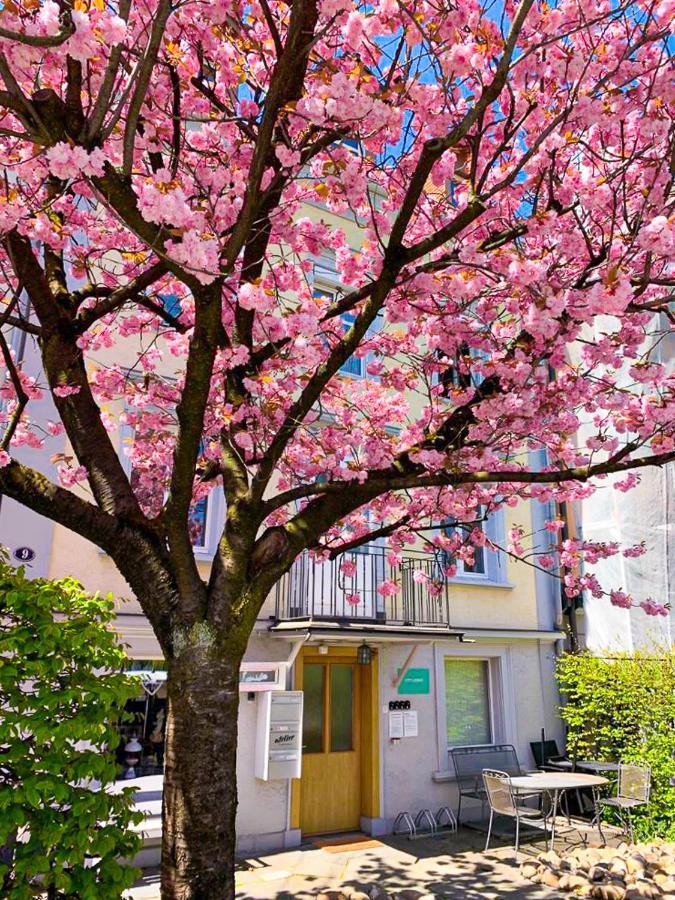 Citylodge St Gallen - 2 Min To Marktplatz 세인트갈렌 외부 사진